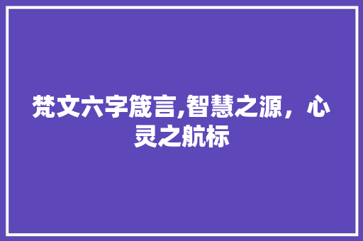 梵文六字箴言,智慧之源，心灵之航标