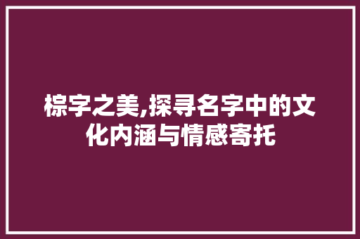 棕字之美,探寻名字中的文化内涵与情感寄托
