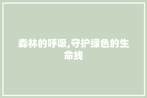 森林的呼吸,守护绿色的生命线