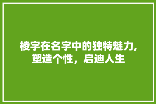 棱字在名字中的独特魅力,塑造个性，启迪人生