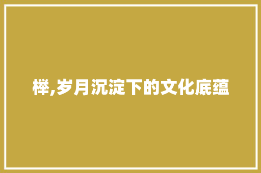 榉,岁月沉淀下的文化底蕴