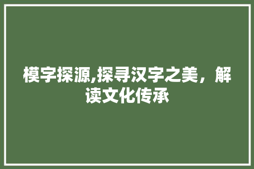 模字探源,探寻汉字之美，解读文化传承