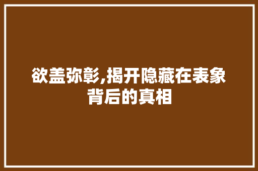 欲盖弥彰,揭开隐藏在表象背后的真相