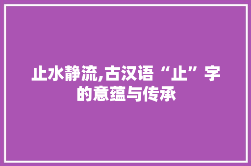 止水静流,古汉语“止”字的意蕴与传承