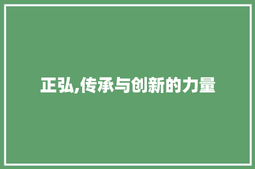 正弘,传承与创新的力量