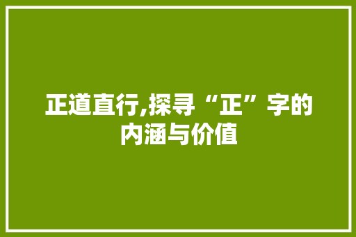 正道直行,探寻“正”字的内涵与价值
