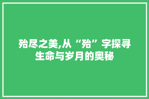 殆尽之美,从“殆”字探寻生命与岁月的奥秘