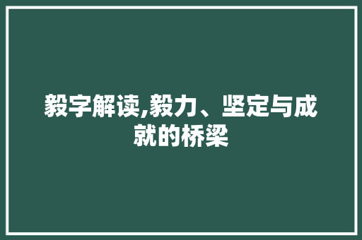 毅字解读,毅力、坚定与成就的桥梁