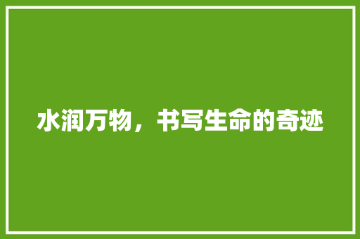水润万物，书写生命的奇迹