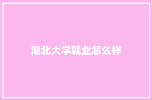 湖北大学就业怎么样