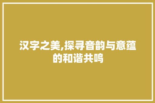 汉字之美,探寻音韵与意蕴的和谐共鸣