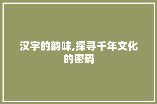 汉字的韵味,探寻千年文化的密码