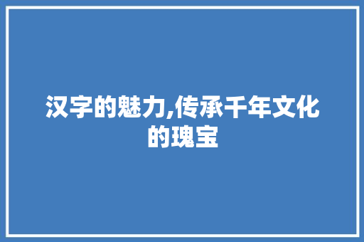 汉字的魅力,传承千年文化的瑰宝