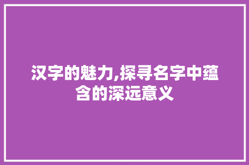 汉字的魅力,探寻名字中蕴含的深远意义