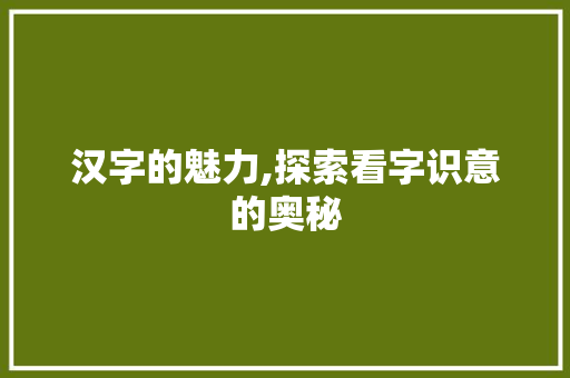 汉字的魅力,探索看字识意的奥秘