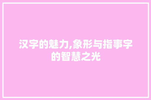 汉字的魅力,象形与指事字的智慧之光