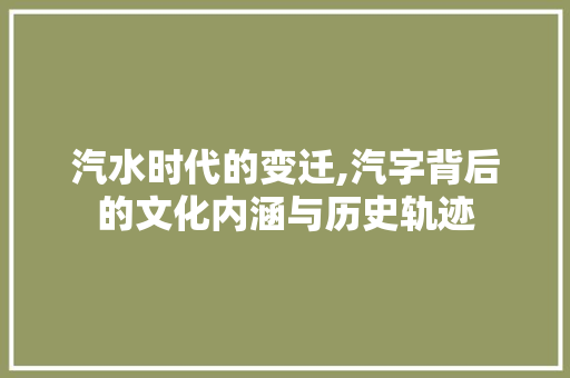 汽水时代的变迁,汽字背后的文化内涵与历史轨迹