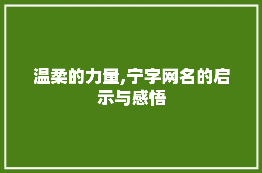 温柔的力量,宁字网名的启示与感悟