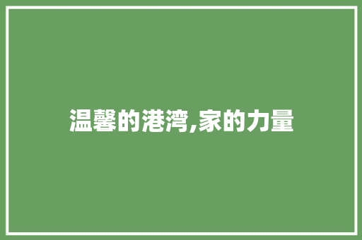 温馨的港湾,家的力量