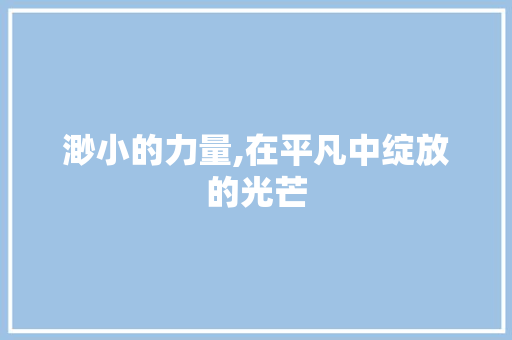 渺小的力量,在平凡中绽放的光芒