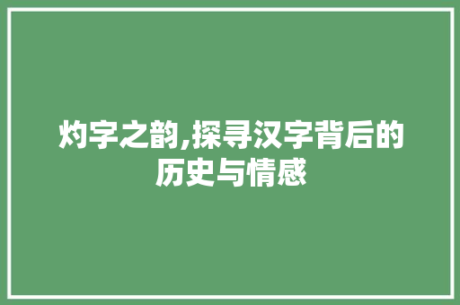 灼字之韵,探寻汉字背后的历史与情感