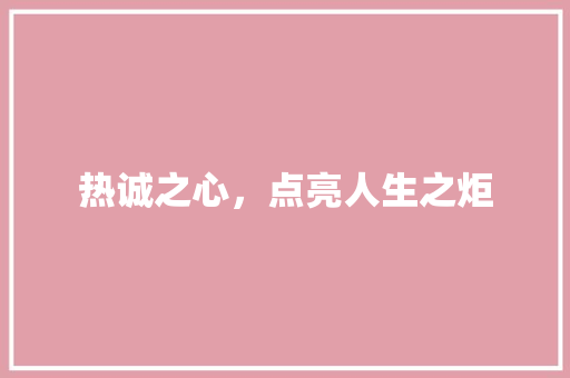 热诚之心，点亮人生之炬
