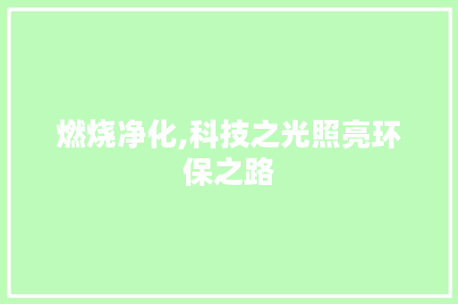 燃烧净化,科技之光照亮环保之路