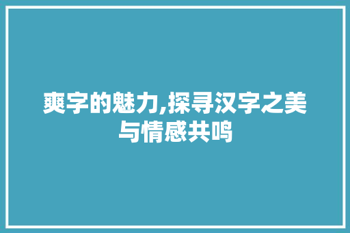 爽字的魅力,探寻汉字之美与情感共鸣