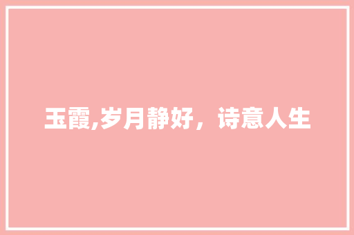 玉霞,岁月静好，诗意人生