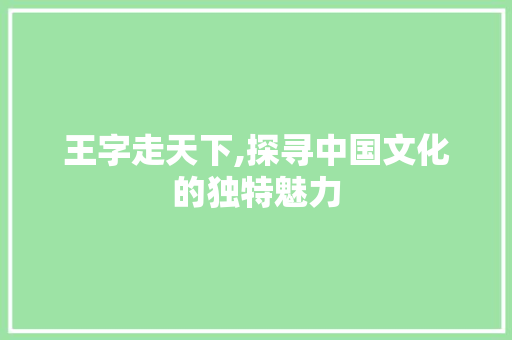 王字走天下,探寻中国文化的独特魅力