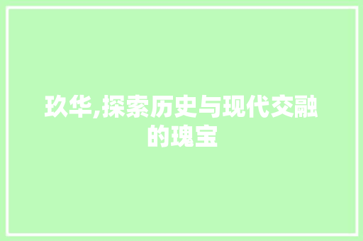 玖华,探索历史与现代交融的瑰宝