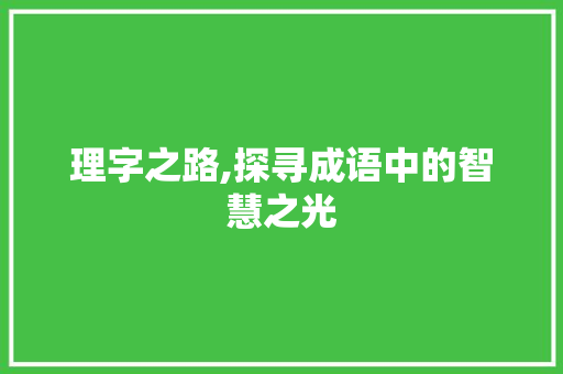 理字之路,探寻成语中的智慧之光