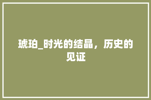 琥珀_时光的结晶，历史的见证