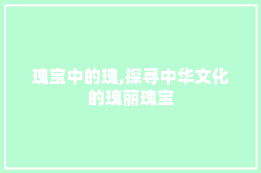 瑰宝中的瑰,探寻中华文化的瑰丽瑰宝