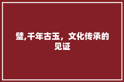 璧,千年古玉，文化传承的见证
