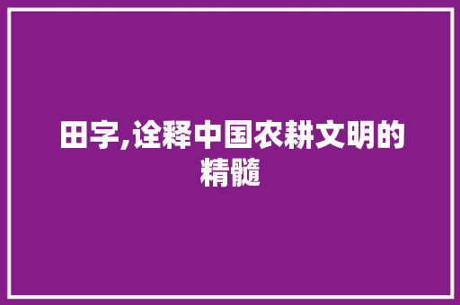 田字,诠释中国农耕文明的精髓