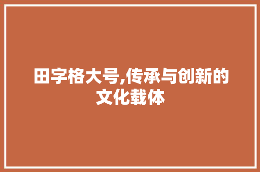 田字格大号,传承与创新的文化载体