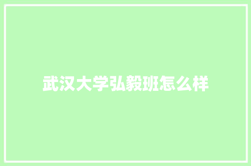 武汉大学弘毅班怎么样
