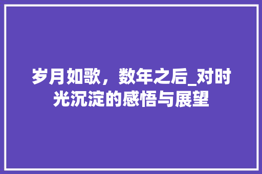 岁月如歌，数年之后_对时光沉淀的感悟与展望