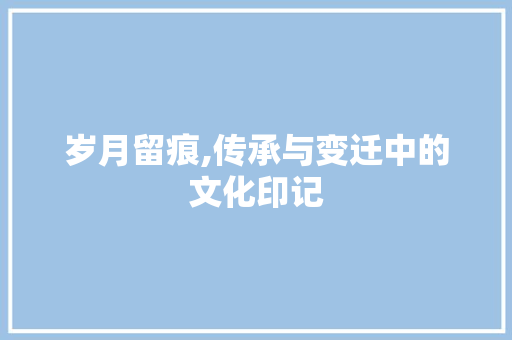 岁月留痕,传承与变迁中的文化印记