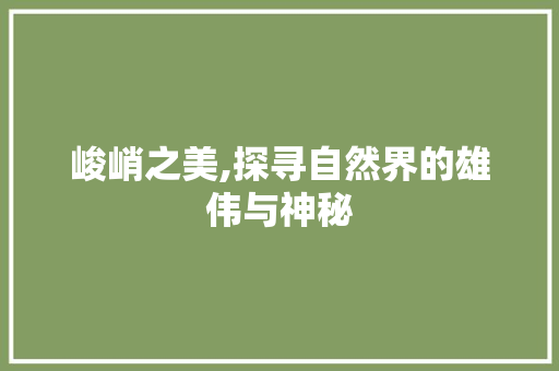 峻峭之美,探寻自然界的雄伟与神秘