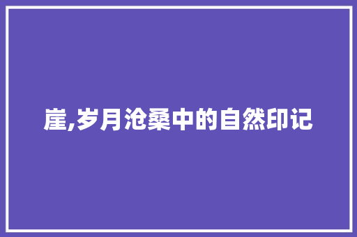 崖,岁月沧桑中的自然印记