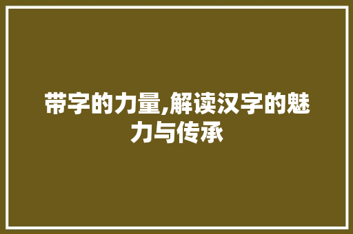 带字的力量,解读汉字的魅力与传承
