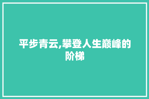 平步青云,攀登人生巅峰的阶梯