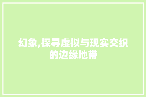 幻象,探寻虚拟与现实交织的边缘地带