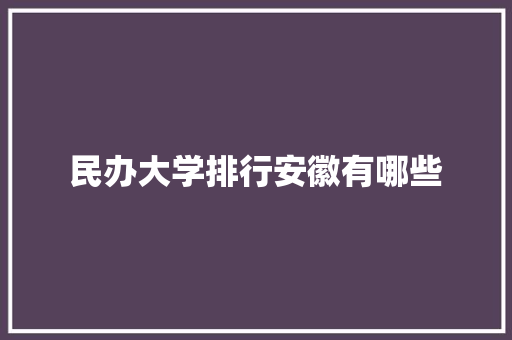 民办大学排行安徽有哪些