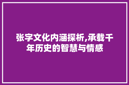 张字文化内涵探析,承载千年历史的智慧与情感