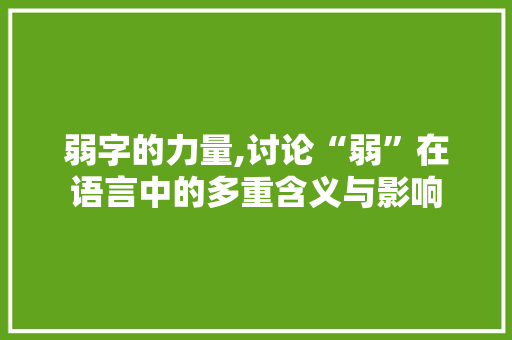 弱字的力量,讨论“弱”在语言中的多重含义与影响
