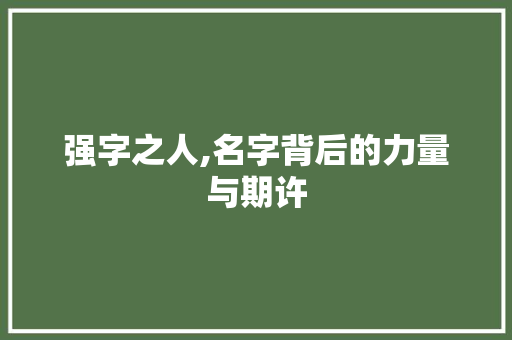 强字之人,名字背后的力量与期许