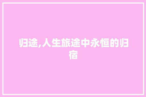 归途,人生旅途中永恒的归宿